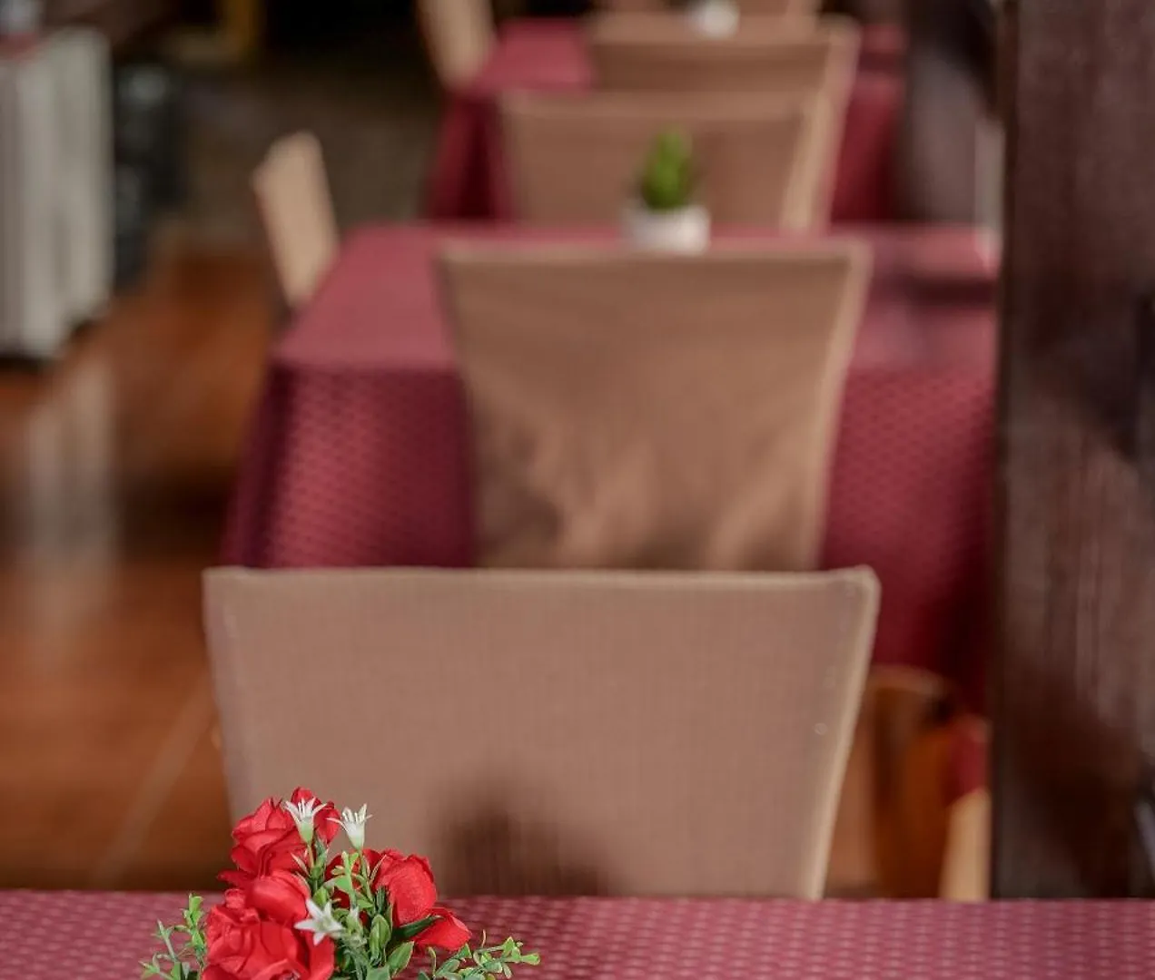 Dolanit Hotels Vila E Drurit Durres